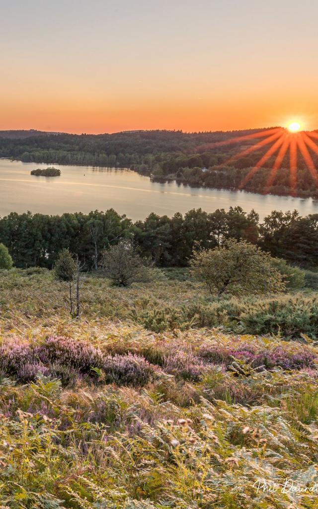 Lac de Vassivière®philippe Daurat