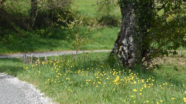 Au bord de la route