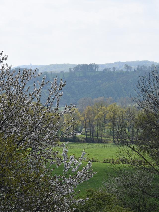 Paysage au printemps
