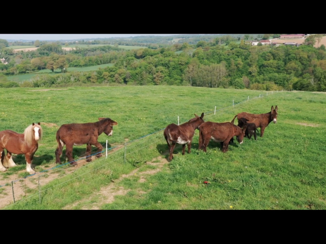Asinerie De La Petite Creuse11