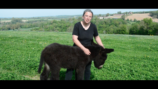 Asinerie De La Petite Creuse7