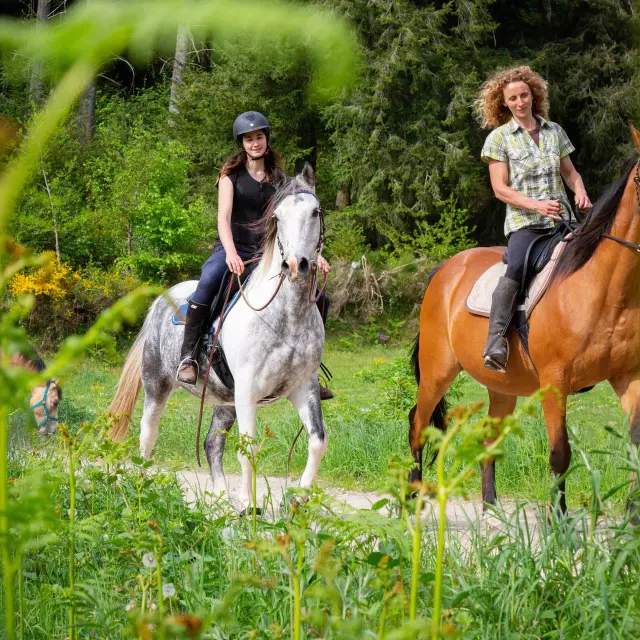 equitation Lac de Vassiviere ©Maxime Authier 2022