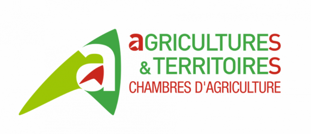 Logos / website