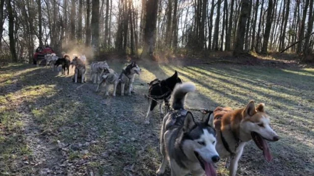 Husk'In Creuse