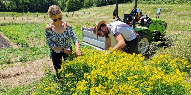 Natorel -Visite de l'exploitation Natorel - Plantes comestibles et médicinales dans la Creuse à Faux la Montagneorel