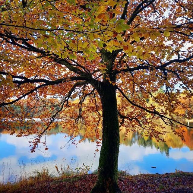 Instagram #creuse