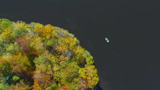 Etang De La Ramade 1