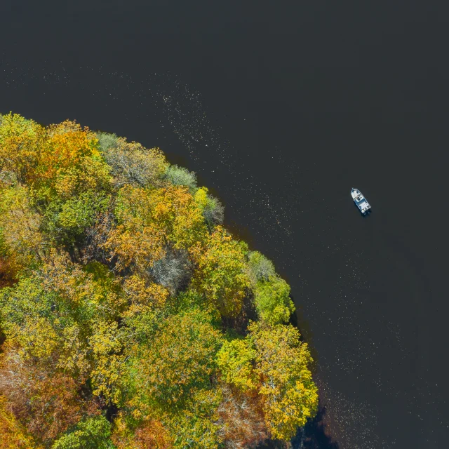 Etang De La Ramade 1
