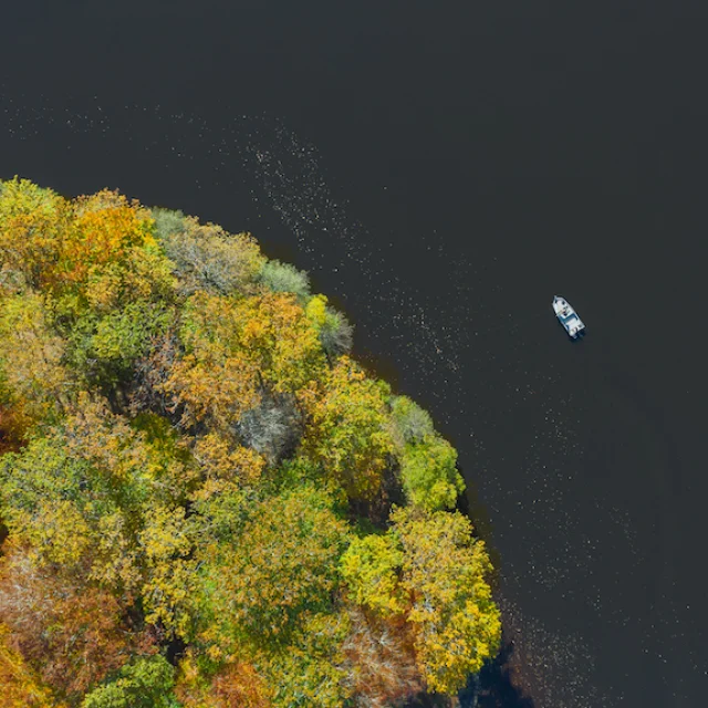 Lacustra Etang De La Ramade 1