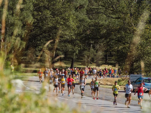 Tour Du Lac De Vassivierekm42