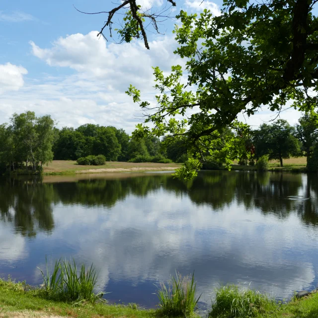 Teich Kalk