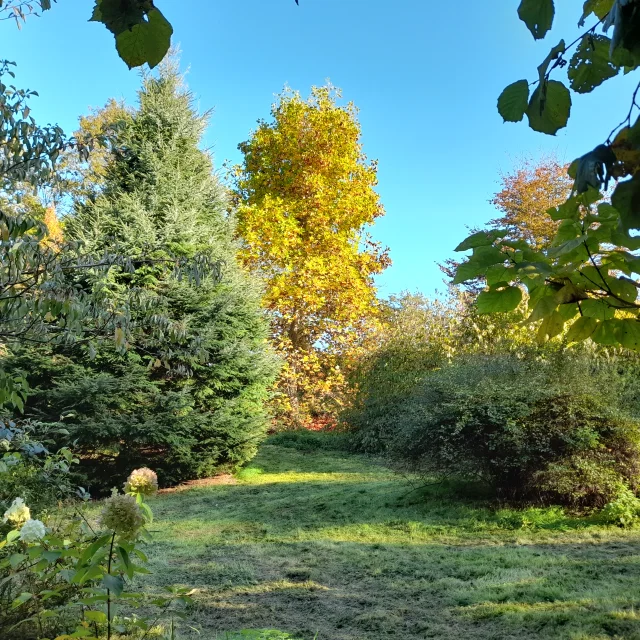 Champagnat Arboretum Du Lys J.l 1