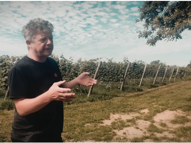Geoffrey Estienne - Vin Nu producteur de vin en Creuse