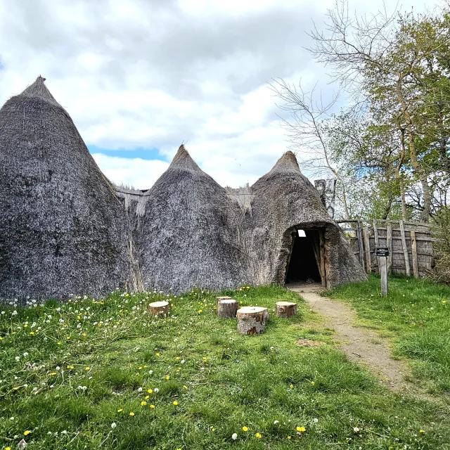 Réserve Naturelle De l'étang Des LandesA en Creuse - Affut des 3 Bouleaux