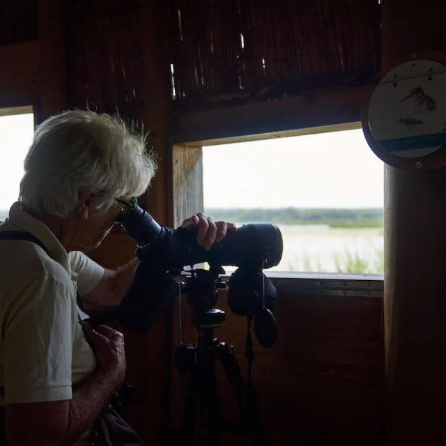Observation des oiseaux à la réserve naturelle de l'étang des Landes dans la Creuse