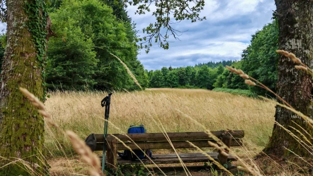 Randonnée Forêt de Chantegris (Creuse Sud Ouest)