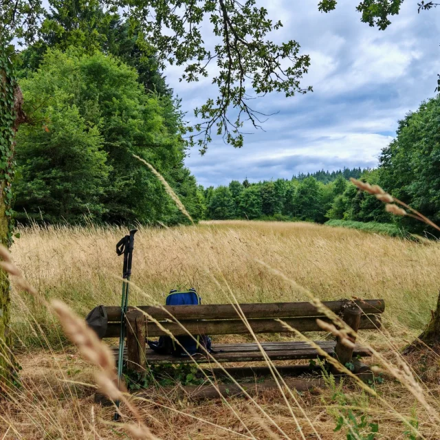 Randonnée Forêt de Chantegris (Creuse Sud Ouest)