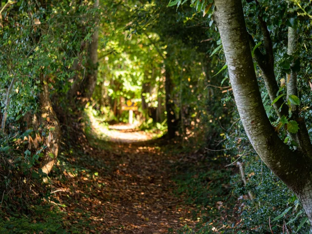 Randoguide Saint Agnant De Versillat - ©R. Conversion 1