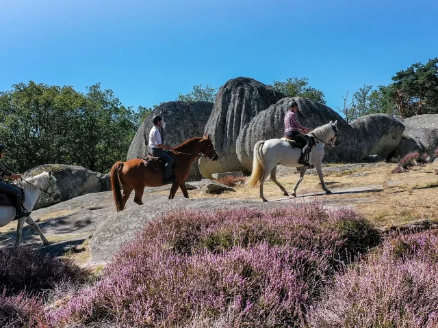 Cheval en Creuse - ©Creuse Tourisme