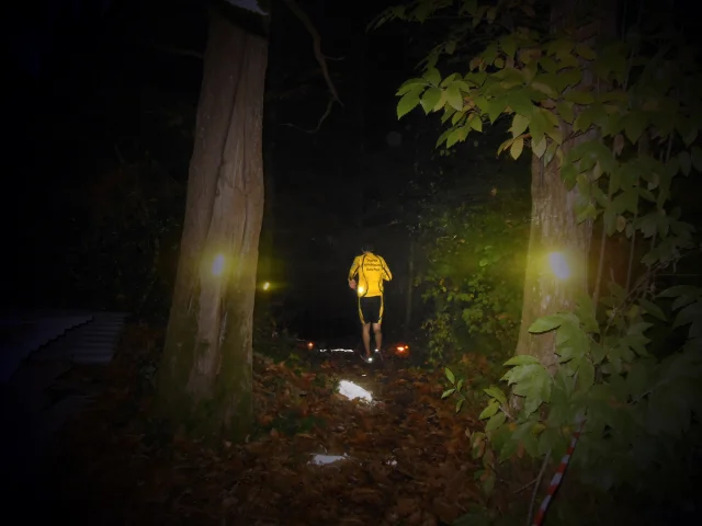 La Cazinight - ©La Cazinight - 1