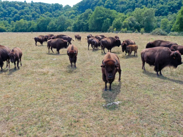 Lesbisonsdupalaiscreusetourisme 3