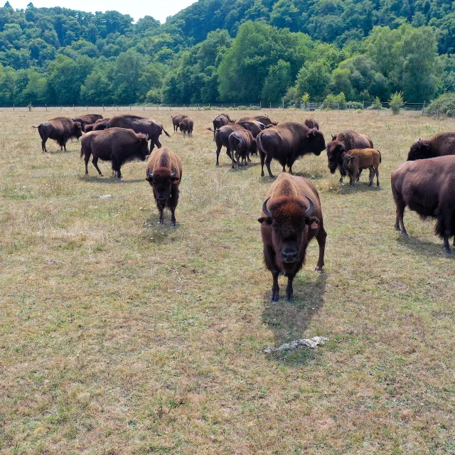 Lesbisonsdupalaiscreusetourisme 3