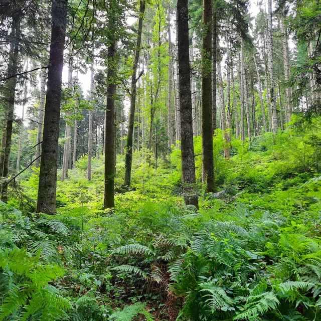 Ecotourisme 01 Eric Cluzel