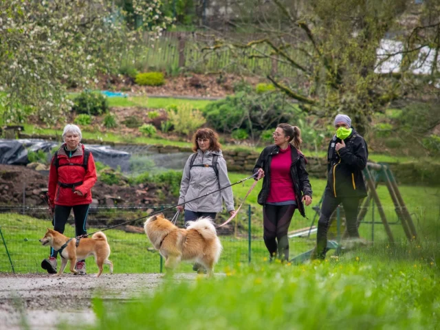 La Transmillevaches 2024 - ©Creuse Tourisme