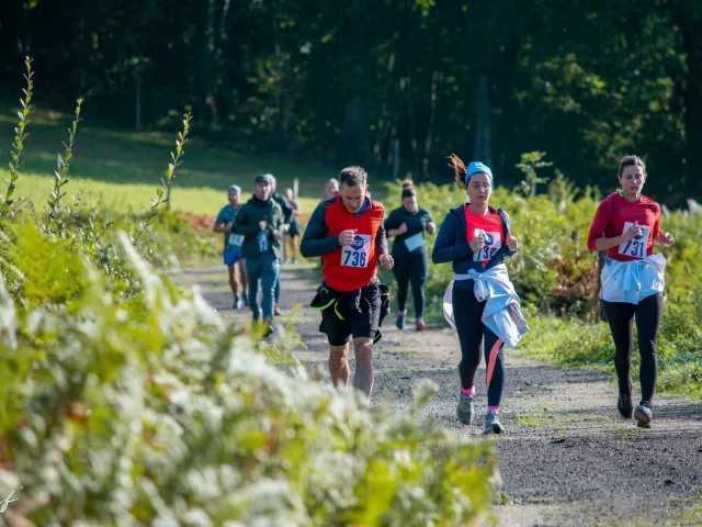 Le Petit Brionnais -©MF'Photos - 9