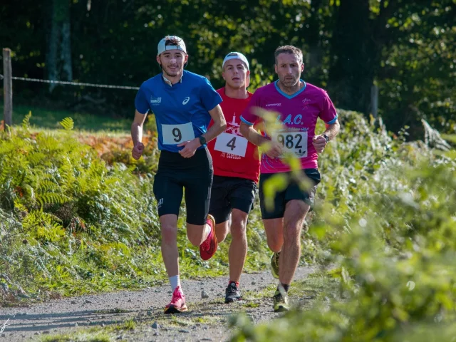 Le Petit Brionnais -©MF'Photos - 3