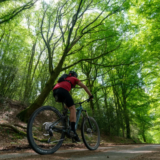 Saint Vaury Sainte Feyre Gtc Vtt 2021 Guillaume Condat Creuse Tourisme11.jpg 1024px