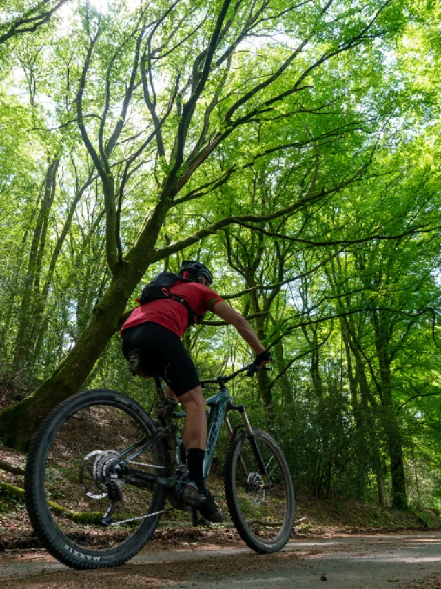 Saint Vaury Sainte Feyre Gtc Vtt 2021 Guillaume Condat Creuse Tourisme11.jpg 1024px