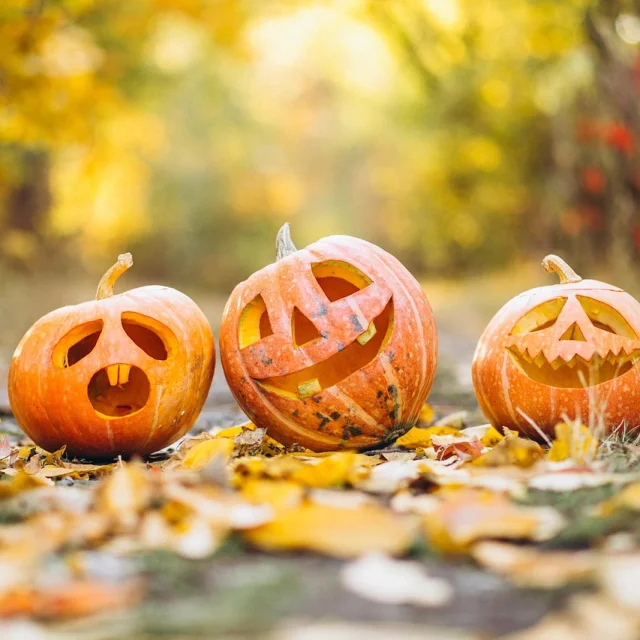 Pumpkin 6720424 1280