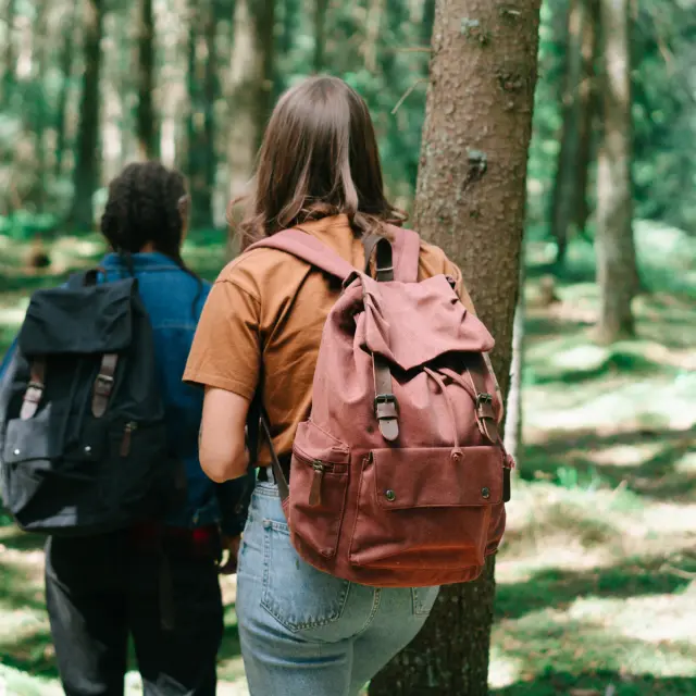 Balade en forêt dans la Creuse
