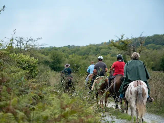 Grand Régional de Tourisme Équestre - ©Creuse Tourisme M.F.