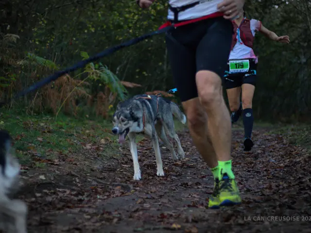 La Cani Creusoise - ©EAA