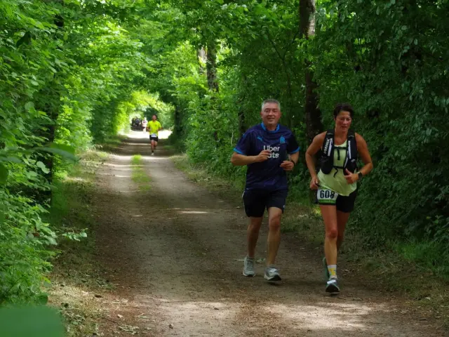 ©Les Foulées du Rail 2025