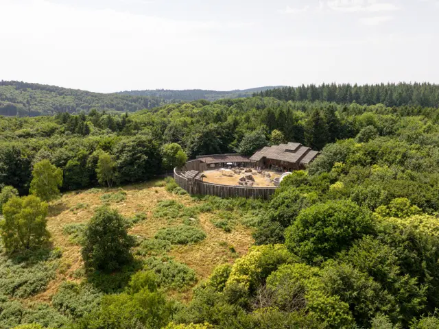 Parc Animalier des Monts de Guéret Les Loups de Chabrières