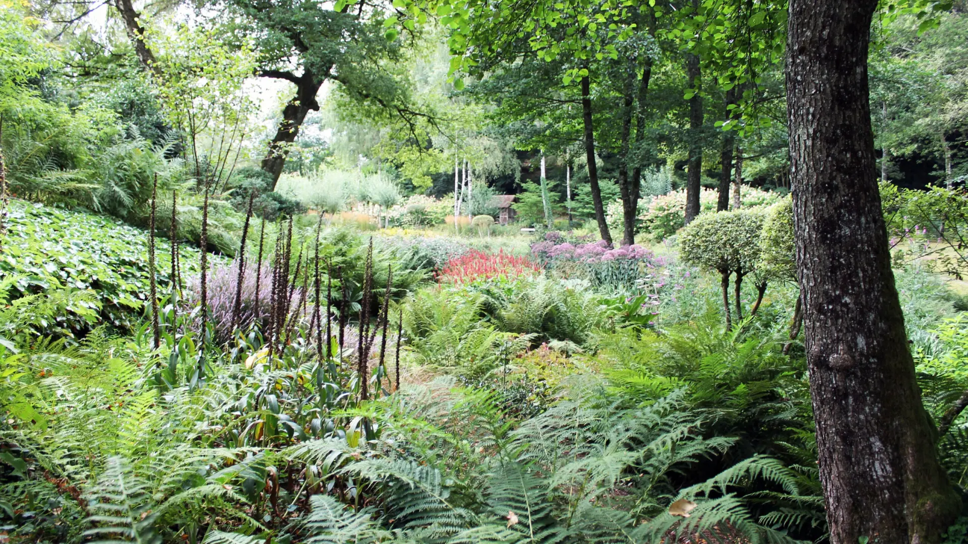 Jardin De Val Maubrune