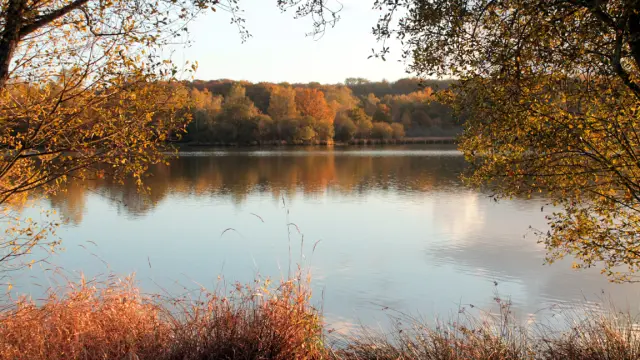 Etang Chaume