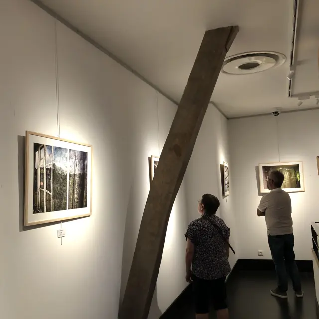 Img 2783