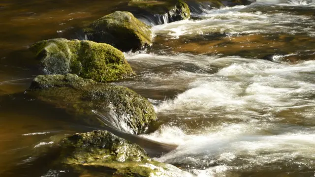 Les gorges du Verger