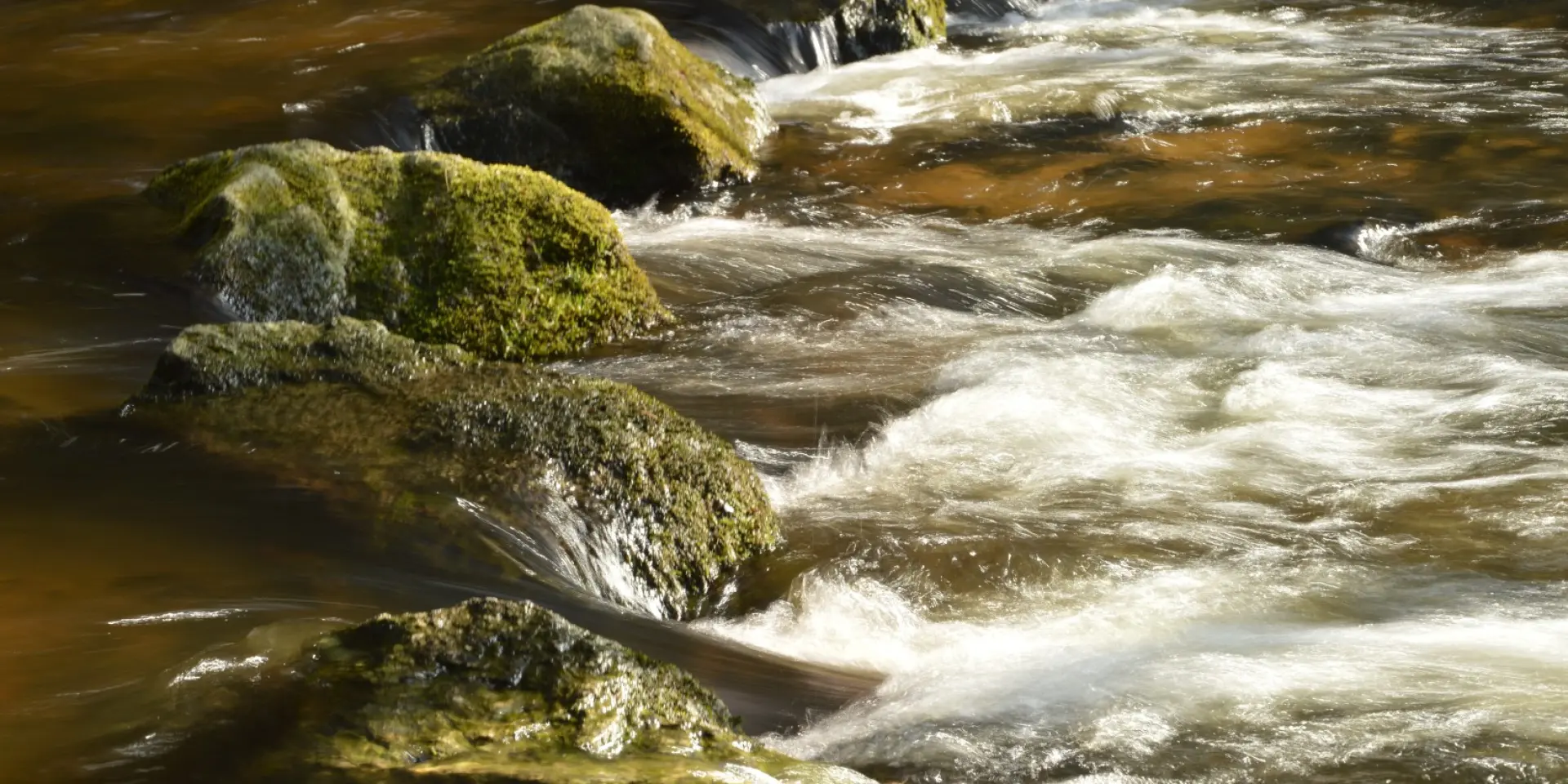 Les gorges du Verger