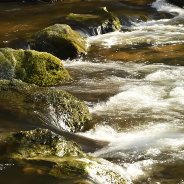 Les gorges du Verger