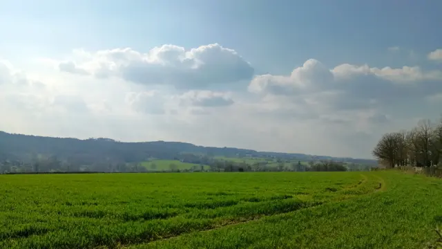 Vueroches