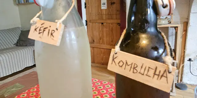 Lourdoueix St Pierre Qqpartsur Terre Kefir Et Kombucha