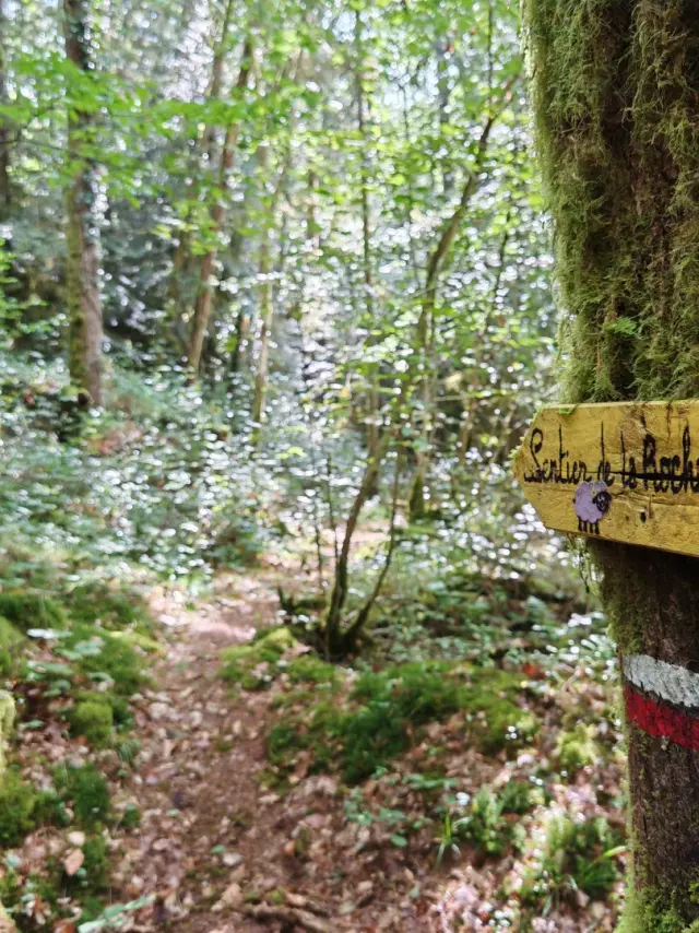 Sentier de randonnée pédestre de la Roche Branlante