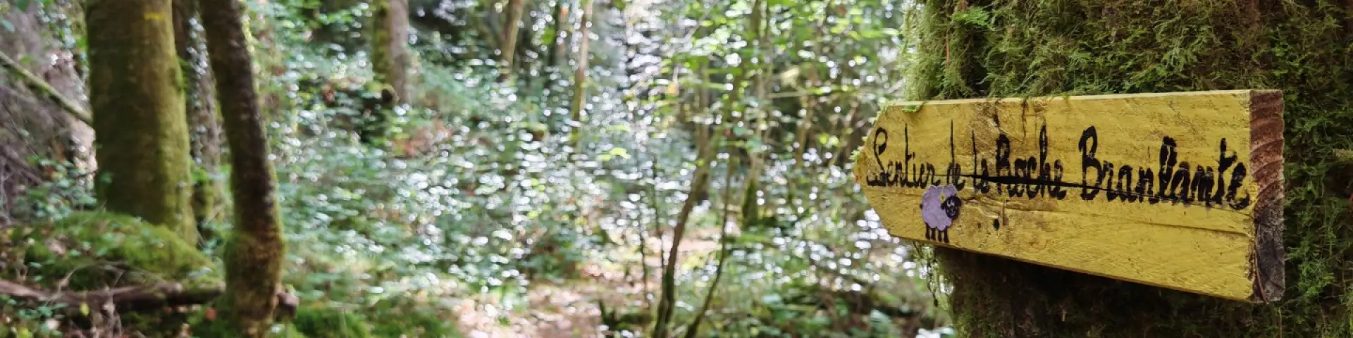 Sentier de randonnée pédestre de la Roche Branlante