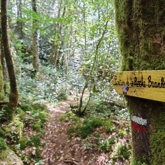 Sentier de randonnée pédestre de la Roche Branlante
