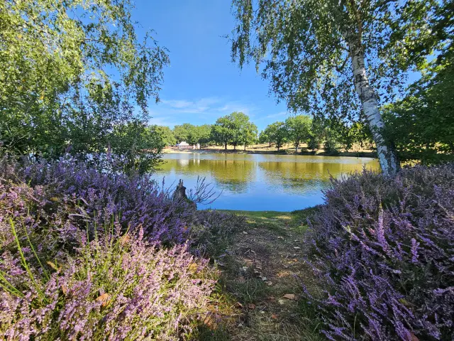 Peyrat La Noniere Etang De Chaux 2025 A. Gorsse 3